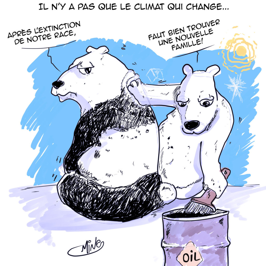Amine climat ours